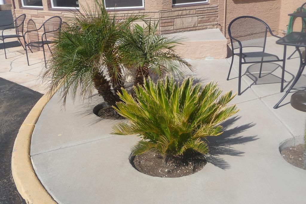 Palms Inn Gila Bend Eksteriør bilde